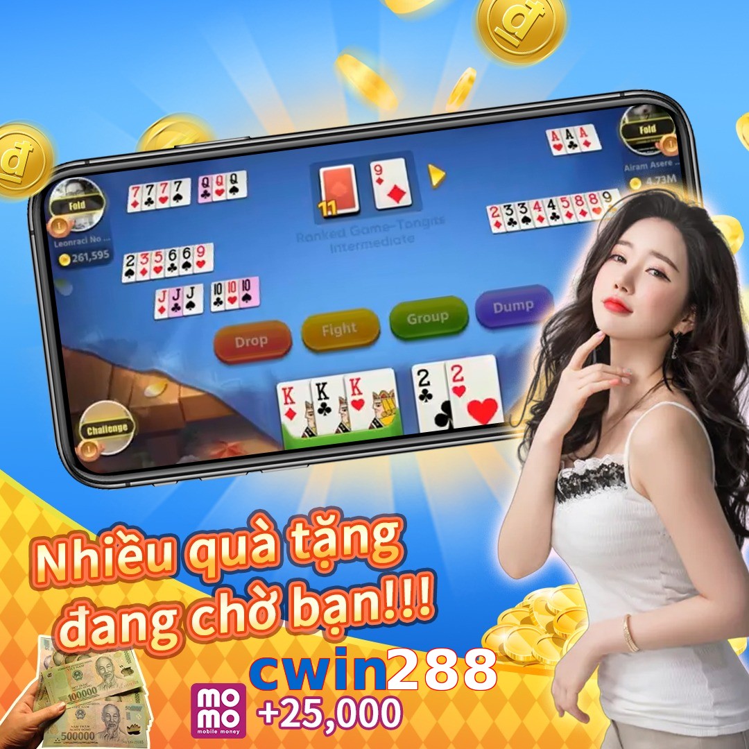 cwin288