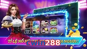 cwin288