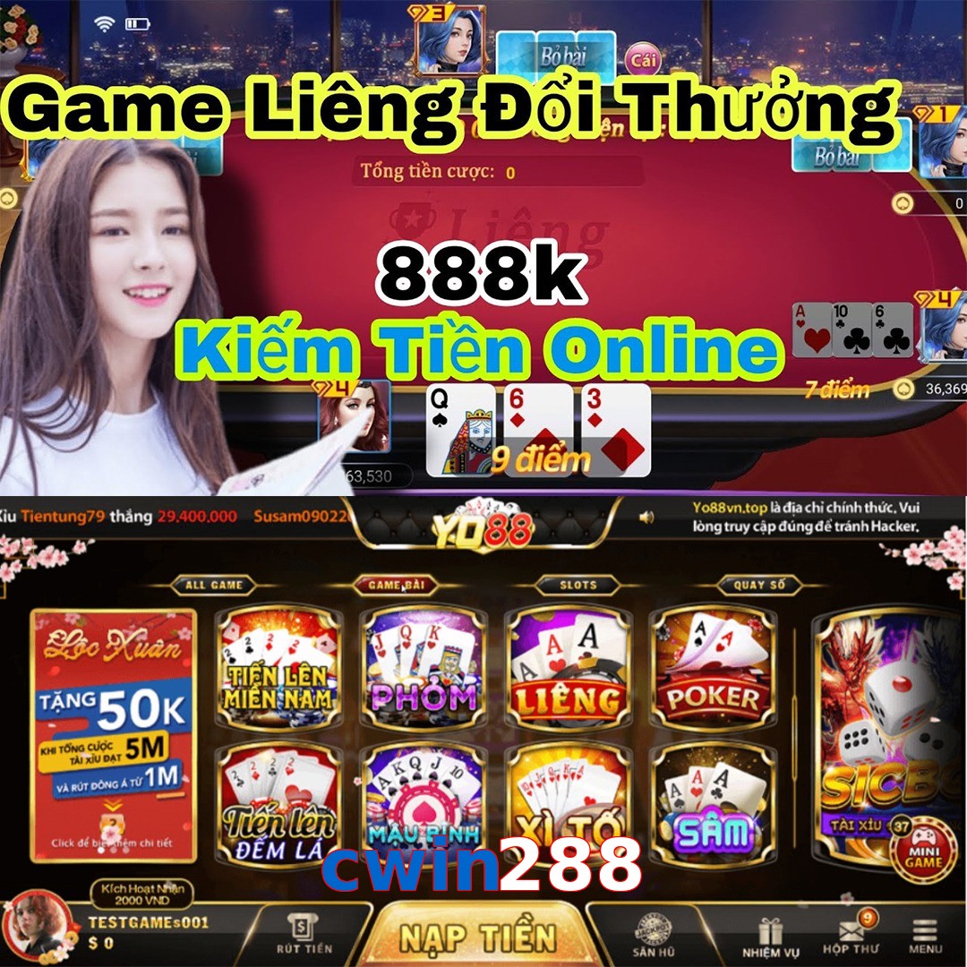 cwin288