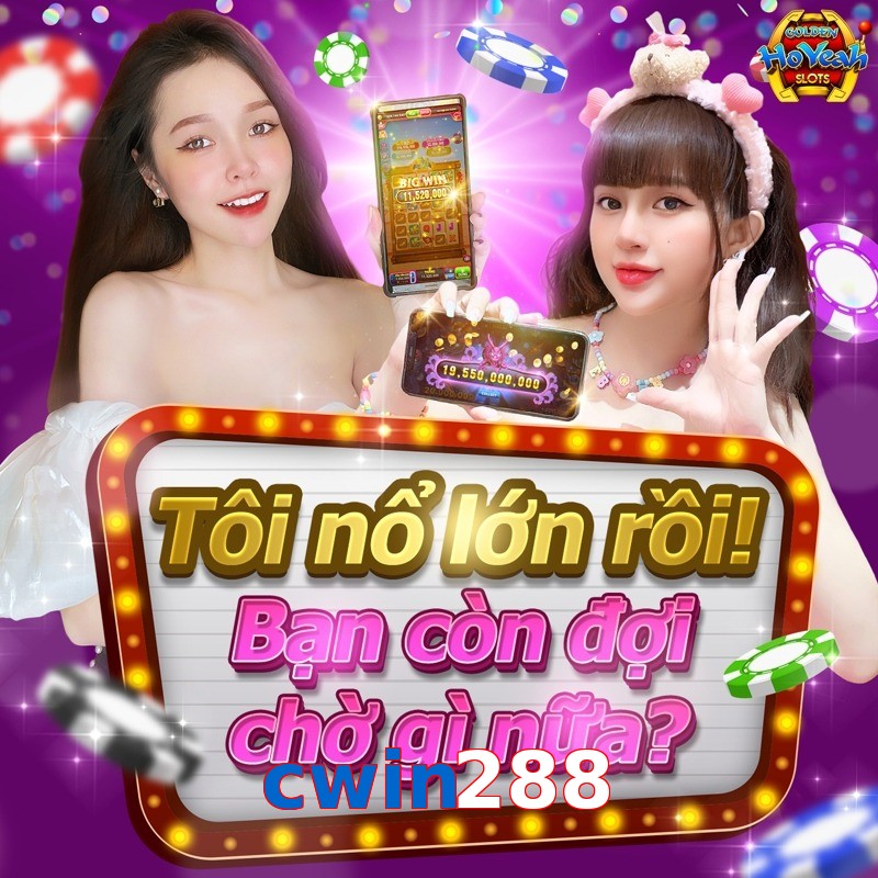 cwin288
