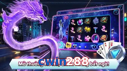 cwin288