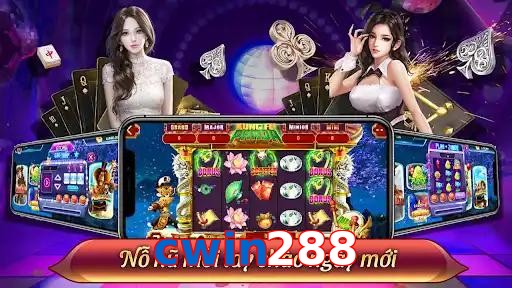 cwin288