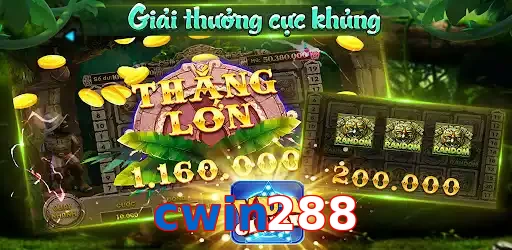 cwin288