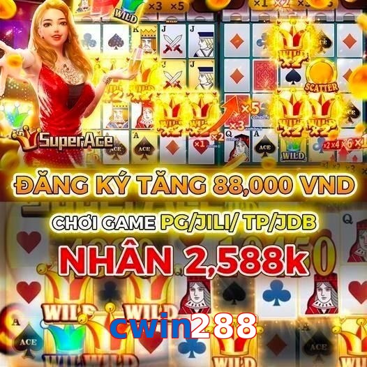 cwin288