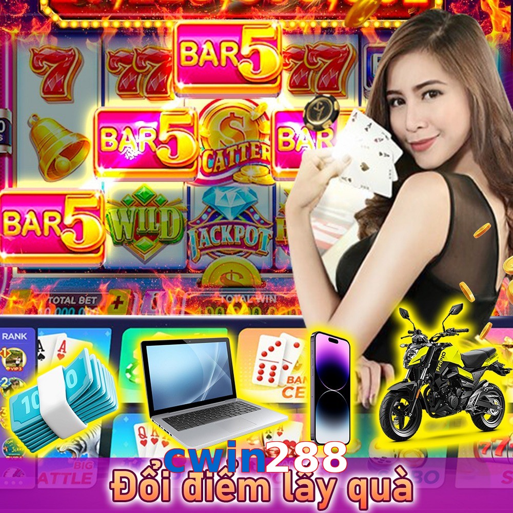 cwin288
