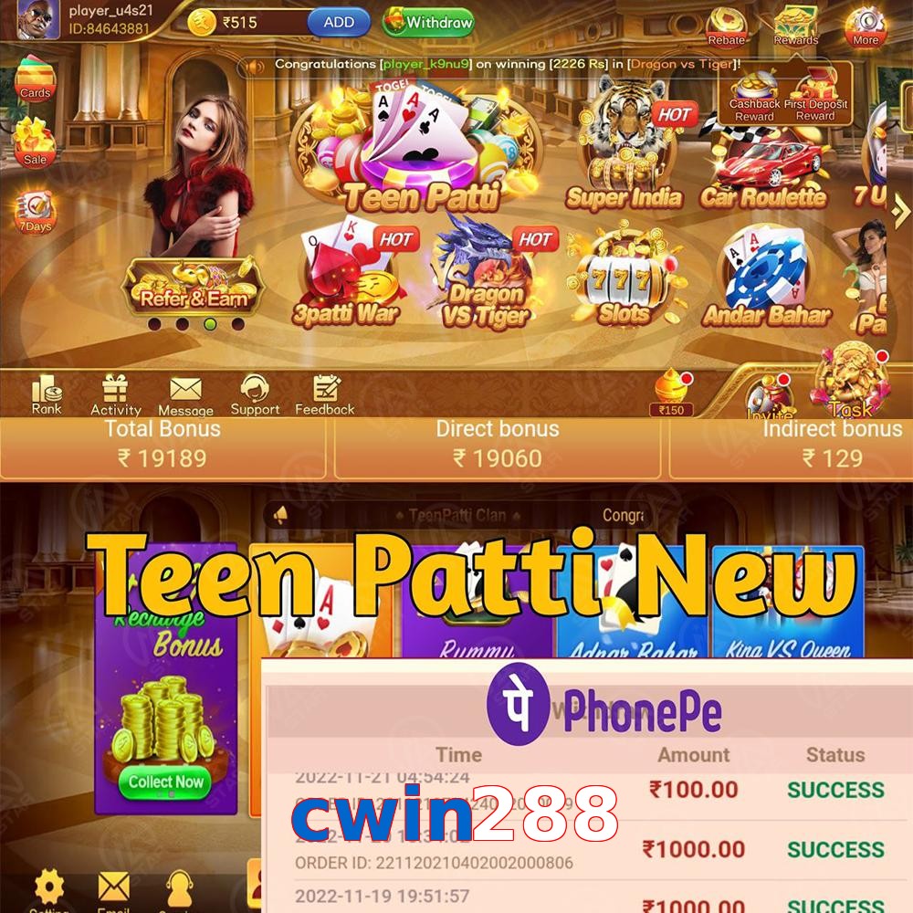cwin288
