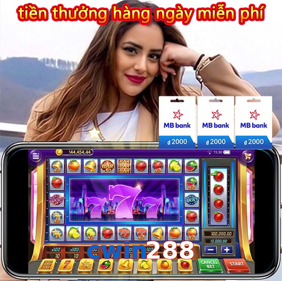 cwin288